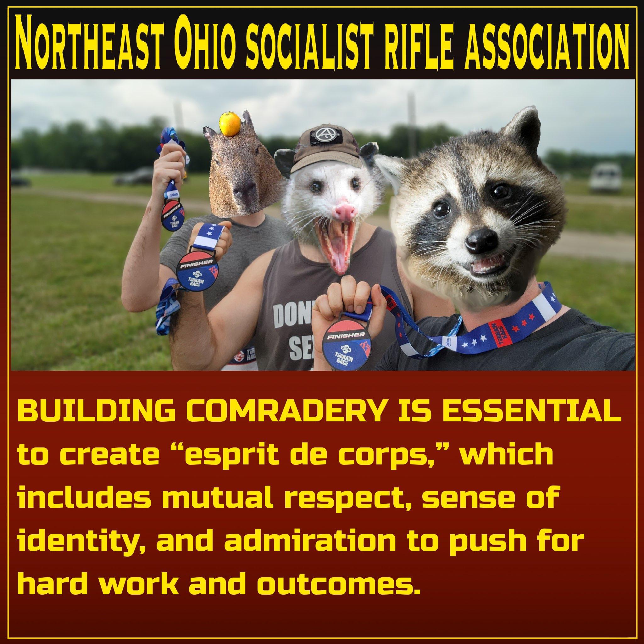 Building Comradery is Essential